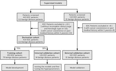 Artificial intelligence-based preoperative prediction system for diagnosis and prognosis in epithelial ovarian cancer: A multicenter study